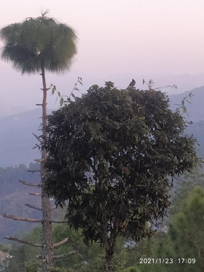 MangalMurti Himalyan Homestay Hawalbagh Bagian luar foto